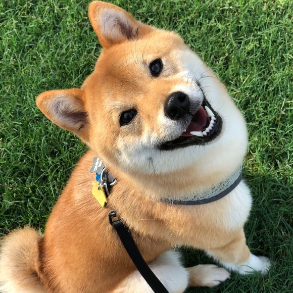 Meet your Posher, Meagan - Picture 5 of 5